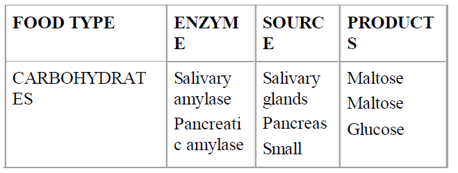 fig 0610202111031.PNG